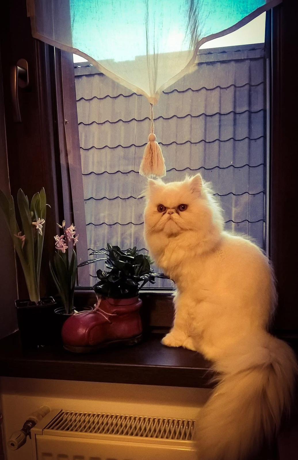 Hrănire & Apă